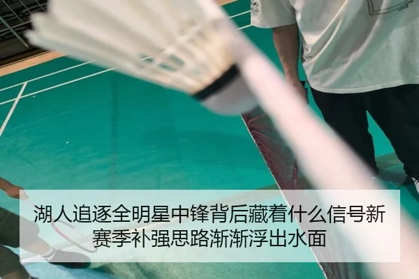 湖人追逐全明星中锋背后藏着什么信号新赛季补强思路渐渐浮出水面